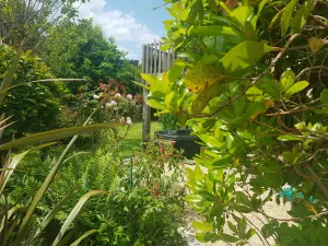 Image of Villa Bambou, a green setting in the heart of the city