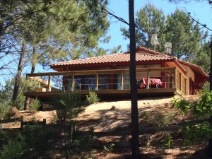 Image of Holiday villa under the pines