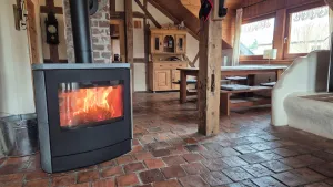 Image of 4 apartment on former Farm 'Lindenhof-Bergenhausen', vacation with dog