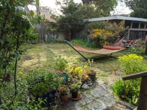 Image of Peaceful relaxation in house with lots of restaurants and the Bay close by!