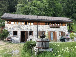 Image of A l'orée du bisse