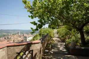 Image of Sleep IN Grasse ?À la Recherche du Temps Perdu