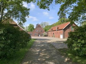 Image of NEW Coastal love Friesland
