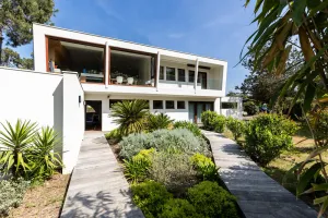 Image of LA VIGNE