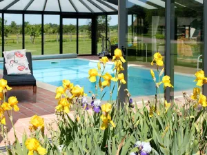 Image of Beautiful apartment in villa for 6 people with WIFI, pool, TV, patio, pets allowed and parking