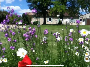 Image of Serene périgourdine with equestrian facilities and immediate access to forest