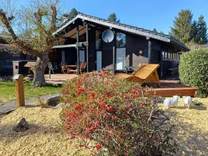 Image of Holiday house Allendorf for 1 - 6 persons with 3 bedrooms - Holiday house
