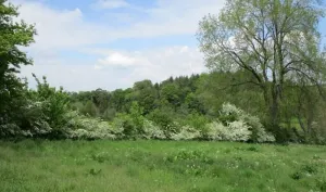 Image of Wonderful Picturesque Countryside Cottage
