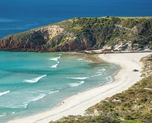 Image of Tammar Ridge - Snelling Beach