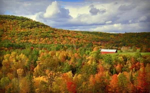 Image of Tranquility:  Secluded White Mountains New Build Custom Log Home on 5 acres