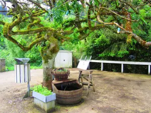 Image of Quaint Holiday Home in Maboge with Sauna