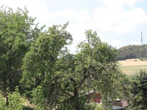 Image of Bike and Hike Ferienhaus Kolverath