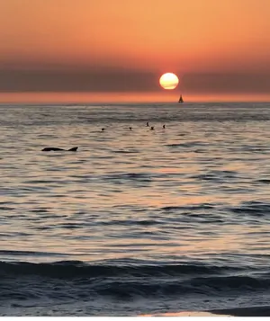 Image of Beautiful 2 Bedrm\/2 Full Bath Condo in St Pete Beach w\/ WIFI