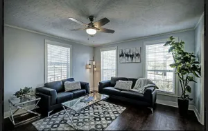 Image of Fondren: Modern Magnolia