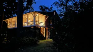 Image of Frog Symphony! Sunsets! Beachfront!・Porch Swing Bed!・2x King Beds