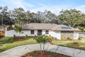 Image of Safety Harbor Pool Home