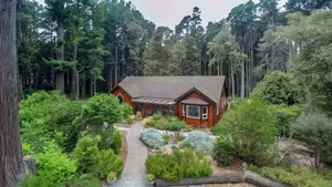 Image of 5 Acres of Peaceful Forest Retreat Minutes From The Beach And Town