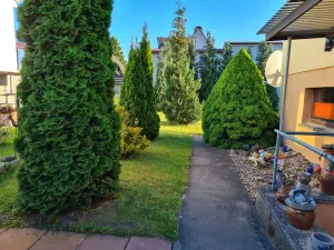 Image of Ferienwohnung Kneip, Deutschland