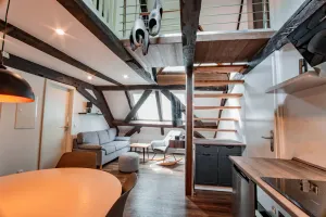 Image of Dog-friendly studio apartment in the Hohlebach Mühle