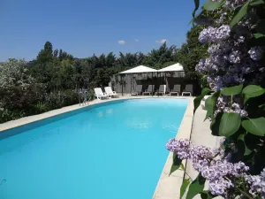 Image of Charming period dovecote with communal swimming pool, plane trees and fountains