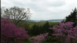 Image of Panoramic views of Lake Tenkiller from the House on the Hill
