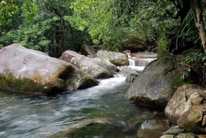 Image of Secluded home hidden in an ancient and enchanted forest with crystal clear creek