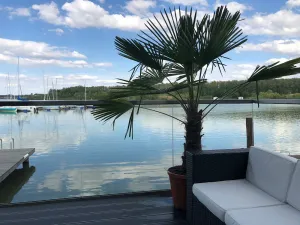 Image of Living right on the lake