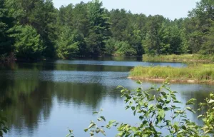 Image of Pheasant Cottage- Cottages On Serenity Lake- has best view of Serenity Lake!