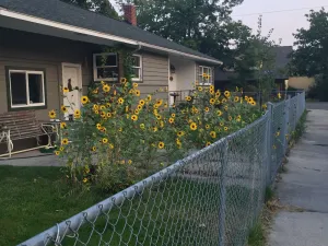 Image of Rose Park House - Wonderful location close to U of M and Downtown