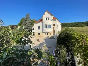 Image of MAGNIFICENT VIEW HOUSE PARADISIAC IN THE MIDDLE OF VINES OF BOURGOGNE