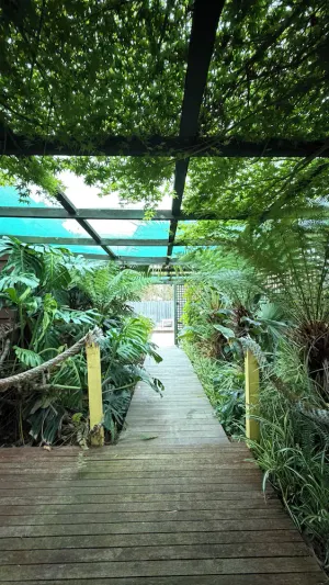 Image of Spacious and unique beach cottage for relaxing getaways