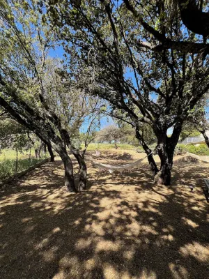 Image of Beautiful T3 for 4\/5 people 5 minutes from the beach