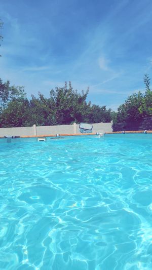 Image of N'est of suburban tranquility