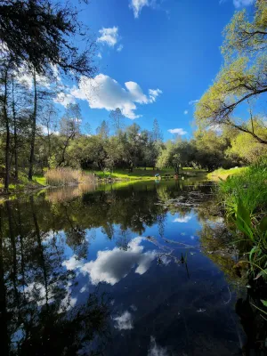 Image of Peaceful Pond Retreat - Waterfront Camper Glamping