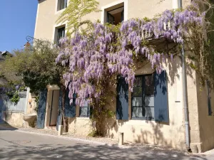 Image of La Maison Farget, charming house, indoor pool, large terrace