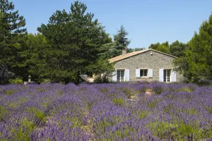 Image of Villa Borie - Three Bedroom Villa, Sleeps 6