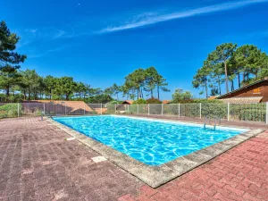 Image of Holiday Home Jardins de la Pinède-9 by Interhome