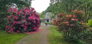 Image of LE MOULIN D'AIROU