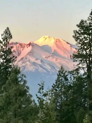 Image of PROMO 8.50 WEEKLY AND 12.50 MONTHLY DISCOUNT\nMt Shasta Cabin\/Studio