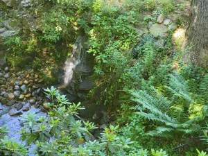 Image of 1660 Guest House; Waterfall, Creek, Large Deck, Fire Ring