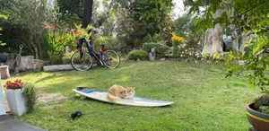 Image of A cosy garden cottage, just 400m to the surf beach.