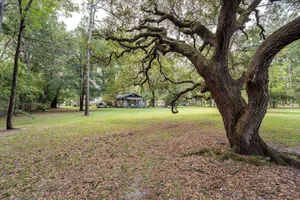 Image of 1 Acre Home |Woodsy & Fenced |Dogs Ok |Firepit |Close to Dining\/Shops | Moody Oaks Rental Next Door