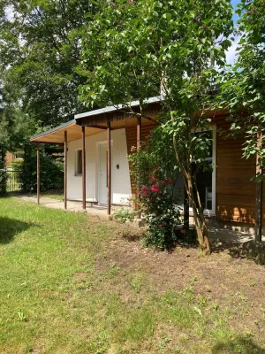 Image of Forest house on a large plot