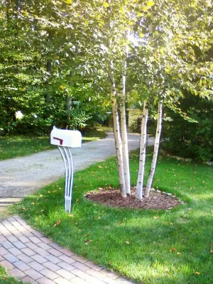 Image of Harbor Springs Cottage In The Woods