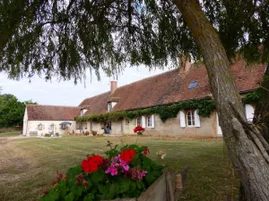 Image of Renovated 19th Century Farmhouse with Private Terrace, Nature Views, and Modern Amenities