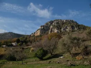Image of Villa Vence