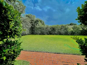Image of Cozy Studio with beautiful open private yard 5 minutes from Pasadena