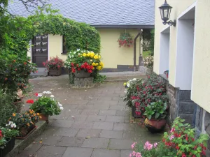 Image of Klingenthal - 4-star holiday home