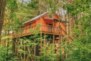 Image of Romantic Treehouse Getaway with Treetop Views