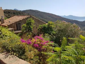 Image of Traditional house, spectacular view of the Gulf of Porto